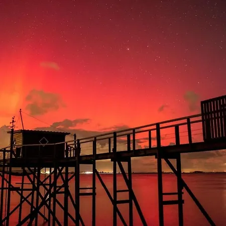 Jean Michele Neuve En Front De Fouras