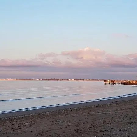 Jean Michele Neuve En Front De Villa *