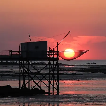 Jean Michele Neuve En Front De *