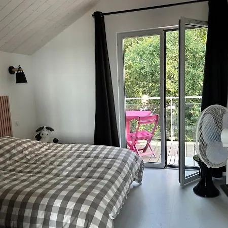 Jean Michele Neuve En Front De ヴィラ フラ