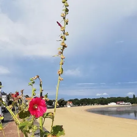 Jean Michele Neuve En Front De ヴィラ