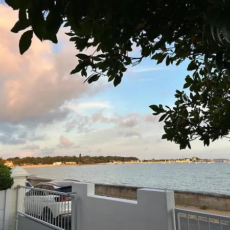 Jean Michele Neuve En Front De